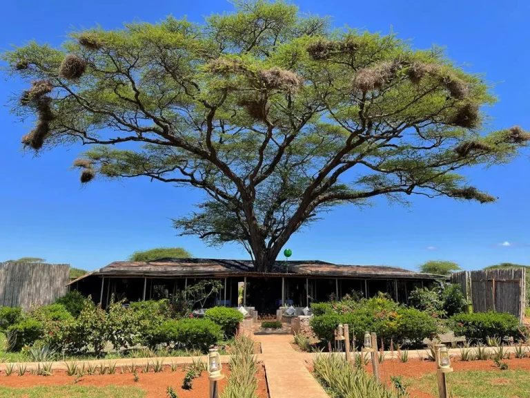 Tulia Amboseli Safari Camp