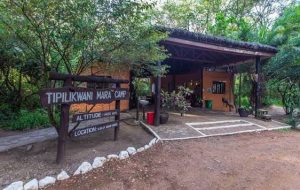 Tipilikwani Mara Camp