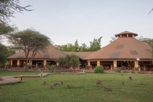 Kilima Safari Lodge