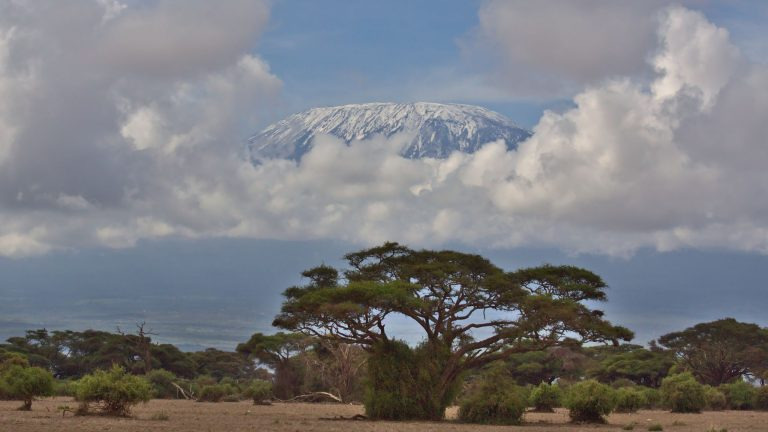 Snow-capped summit of Mount Kilimanjaro rising above acacia trees and clouds on the Tanzanian plain