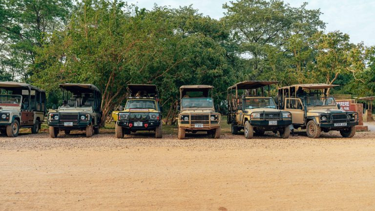 A row of different open-sided safari 4x4 vehicles parked side by side on a dirt track