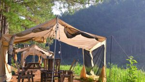 Canvas safari tents nestled among trees at a tented bush camp