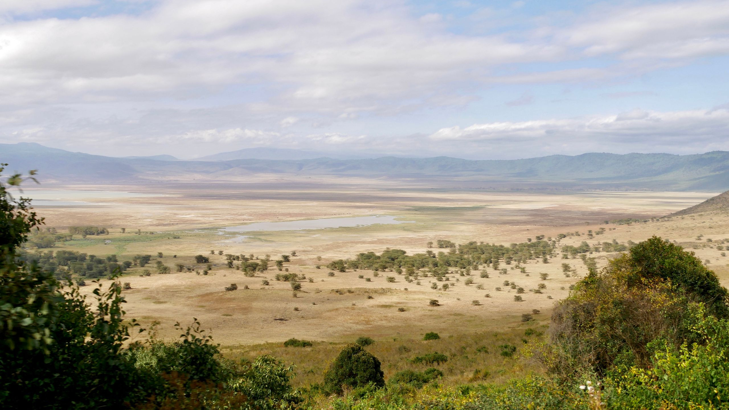 Panoramic view of the forested crater floor and rim of Ngorongoro Crater, Tanzania