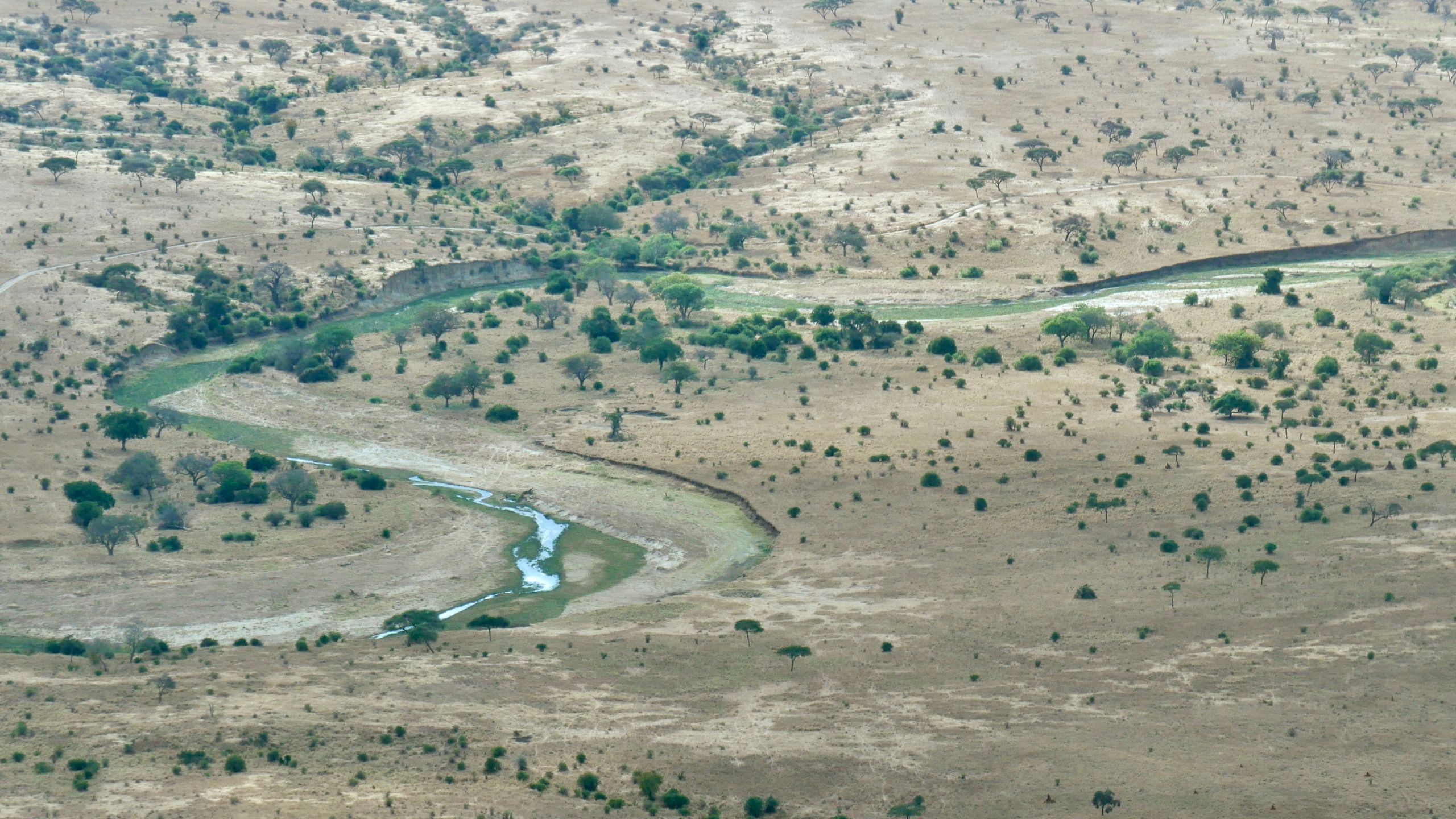 Samburu Intrepids Tented Camp - photo 4