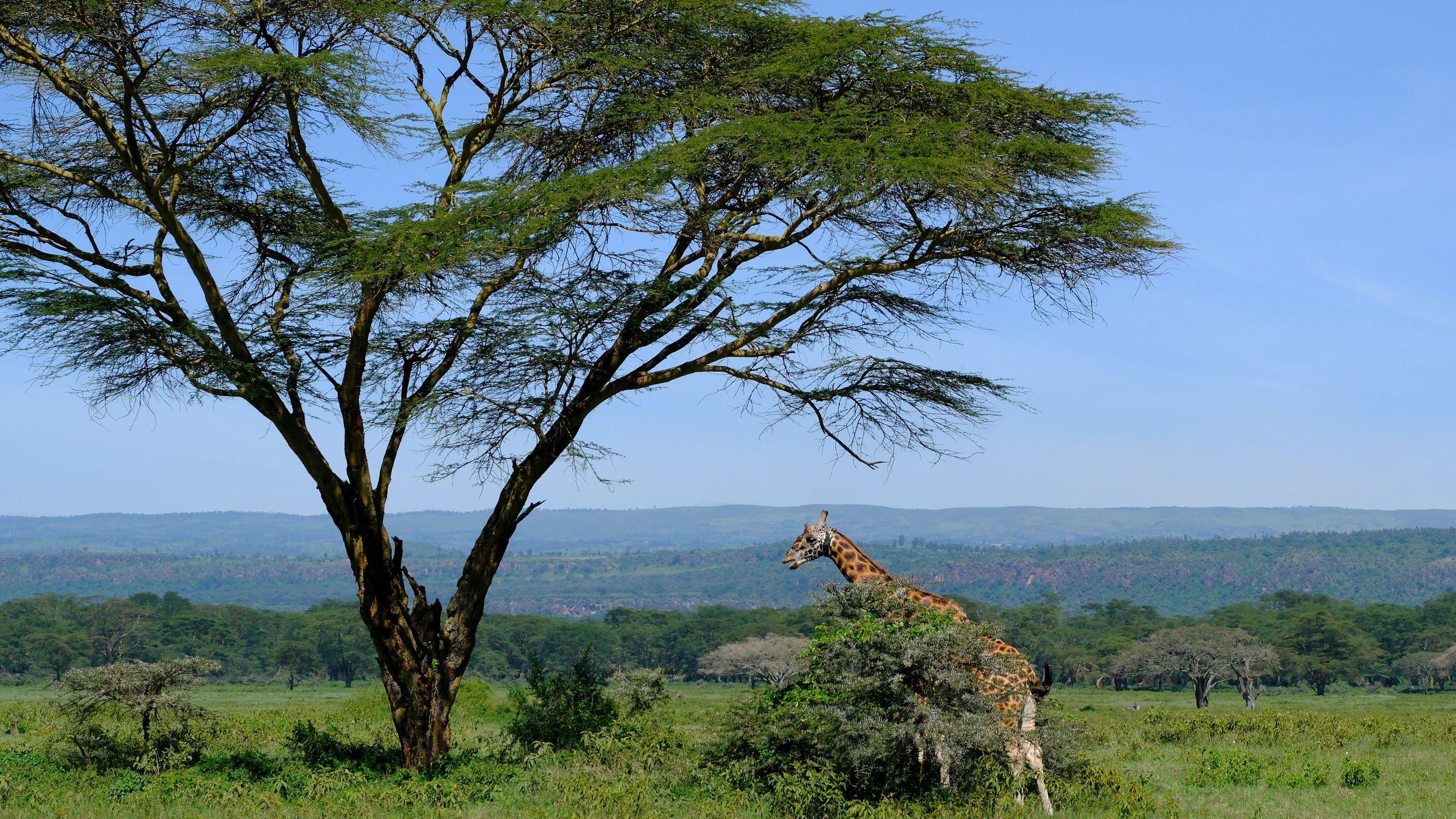 Lake Nakuru Lodge - photo 4