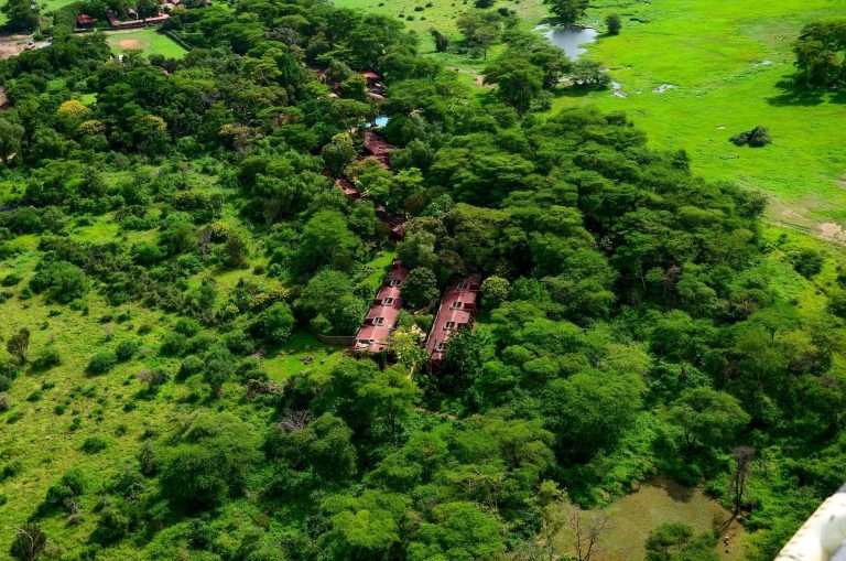 Aerial view of Amboseli Serena Safari Lodge surrounded by lush vegetation